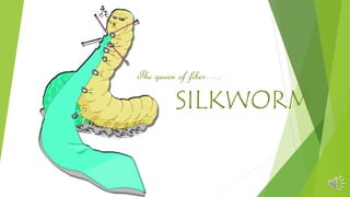 SILKWORM
The queen of fiber….
 