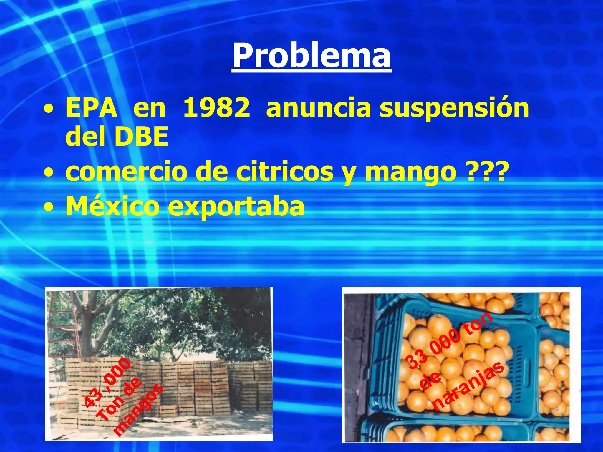 Slide 12