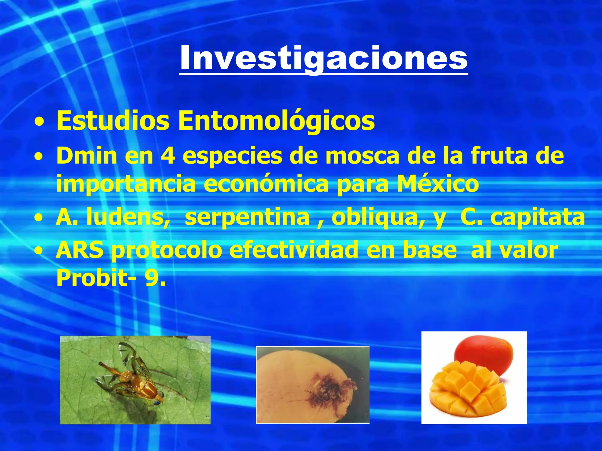 Slide 14
