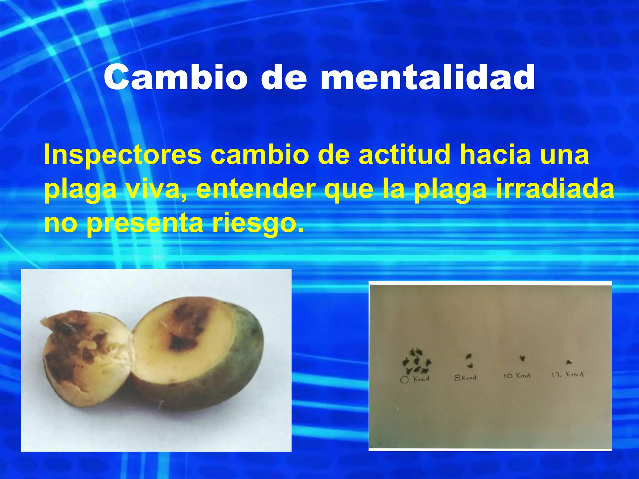 Slide 17