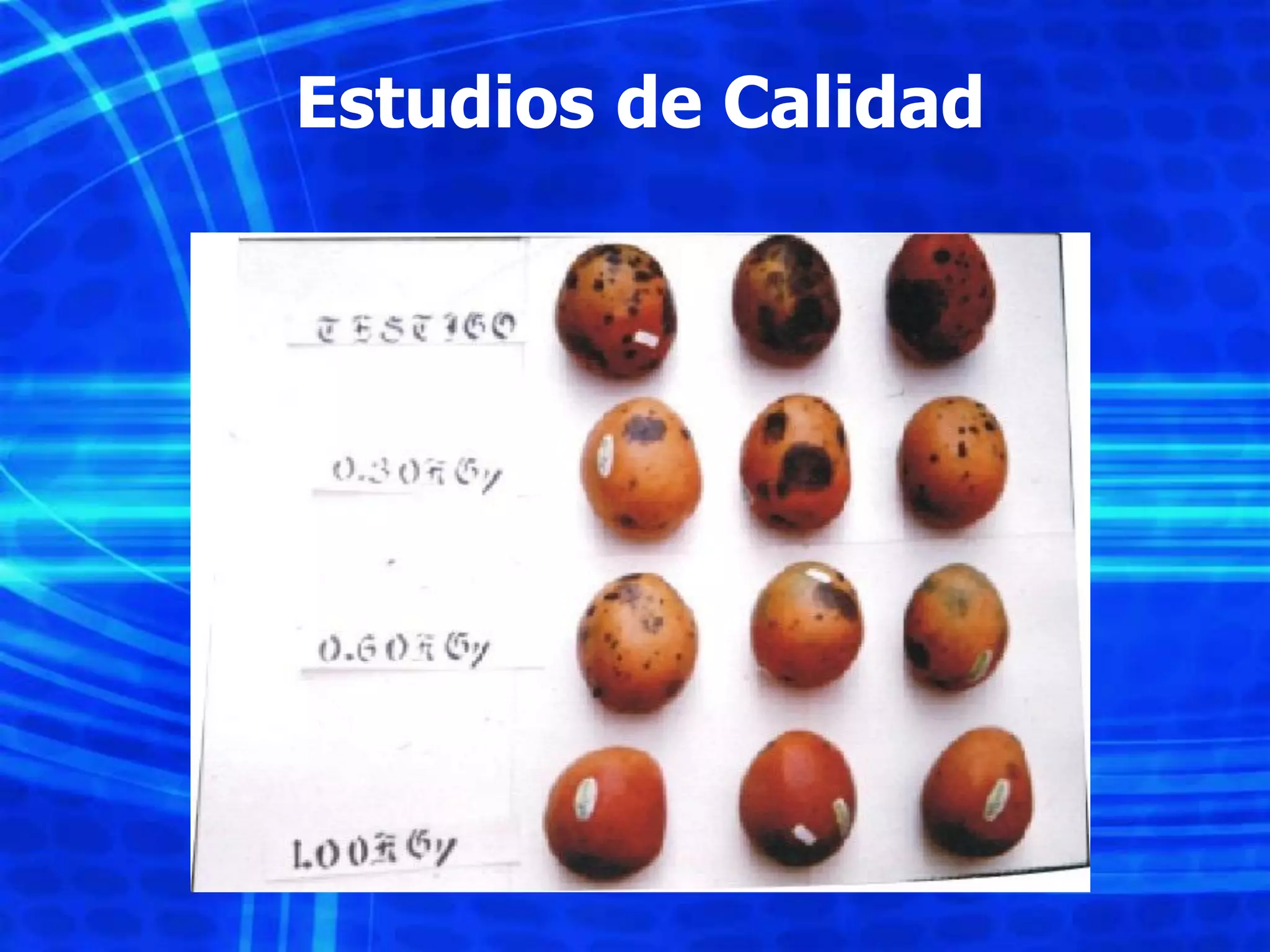 Slide 18