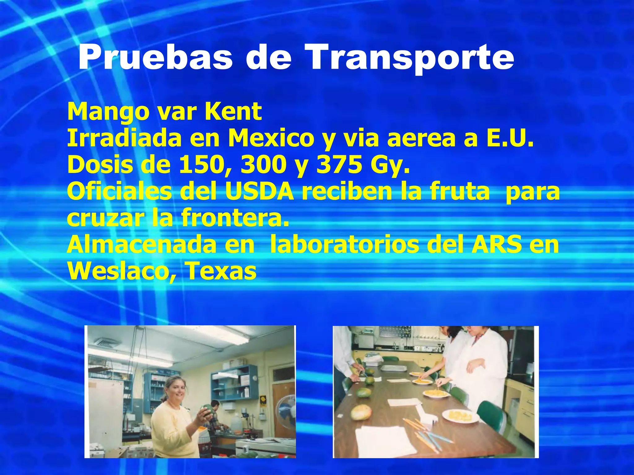 Slide 19