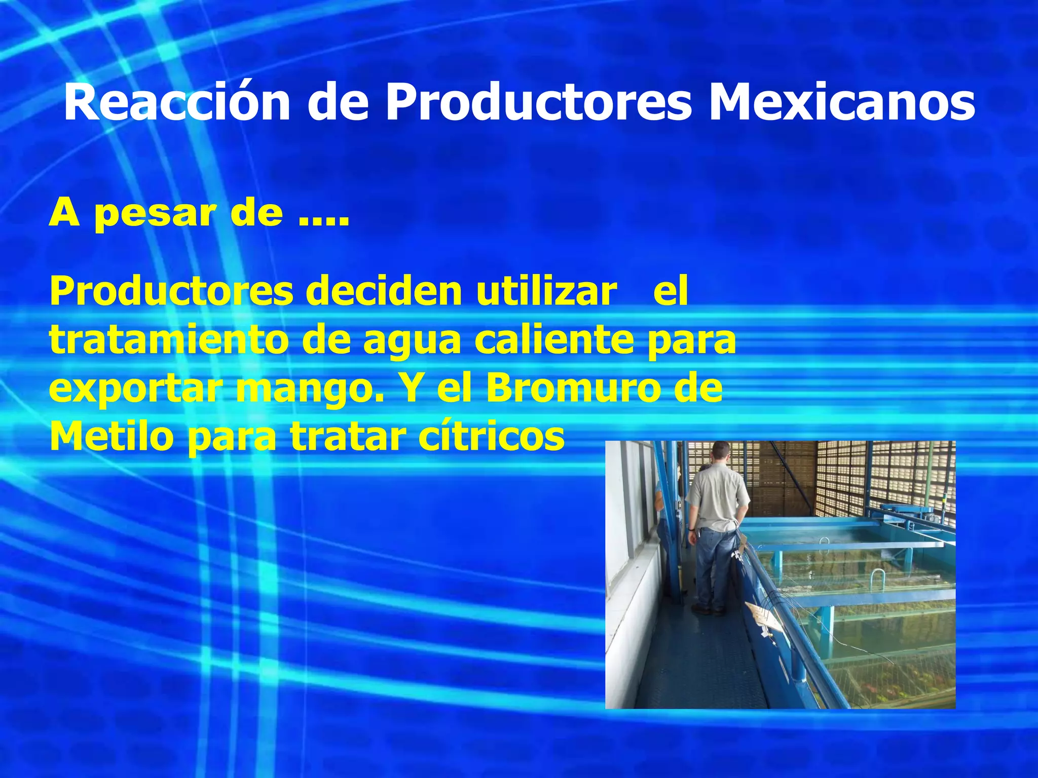 Slide 23