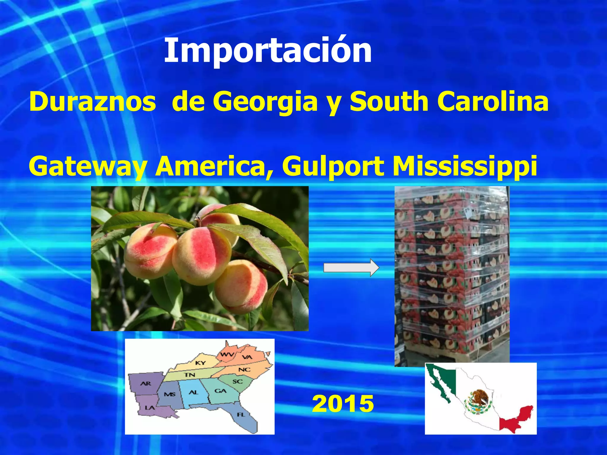 Slide 53