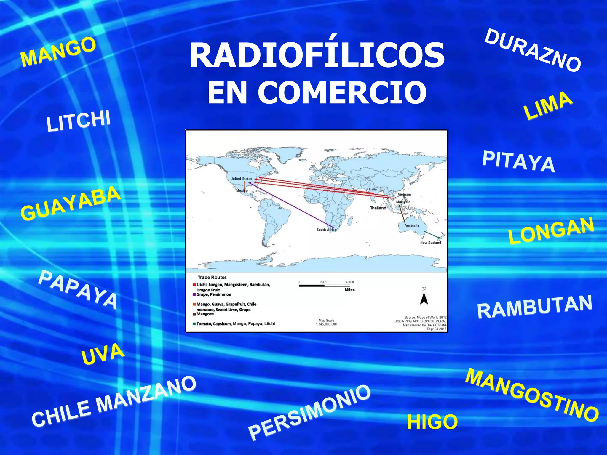 Slide 55
