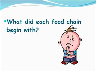 What did each food chain begin with? 