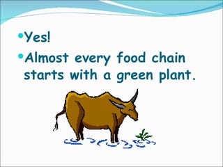 Yes! Almost every food chain starts with a green plant. 