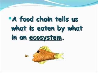 A food chain tells us what is eaten by what  in an  ecosystem . 