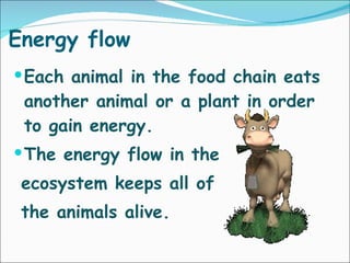 Energy flow Each animal in the food chain eats another animal or a plant in order to gain energy. The energy flow in the ecosystem keeps all of  the animals alive. 