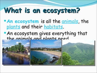 What is an ecosystem? An ecosystem  is all the  animals , the  plants  and their  habitats . An ecosystem gives everything that the animals and plants need. 