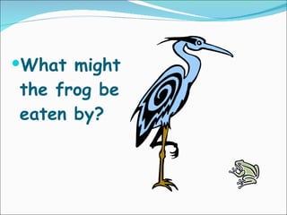 What might the frog be eaten by? 