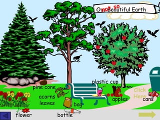 Click Here not so flower pine cone acorns leaves apples cans bag bottle plastic cup Our Beautiful Earth 