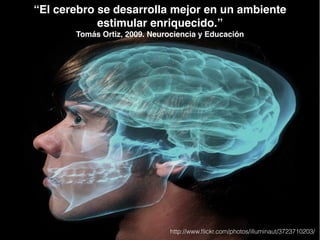“El cerebro se desarrolla mejor en un ambiente 
estimular enriquecido.”! 
Tomás Ortiz, 2009. Neurociencia y Educación 
http://www.flickr.com/photos/illuminaut/3723710203/ 
 