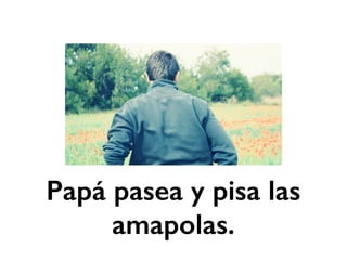 Papá pasea y pisa las 
amapolas. 
 