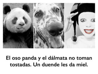 El oso panda y el dálmata no toman 
tostadas. Un duende les da miel. 
 