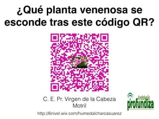 ¿Qué planta venenosa se 
esconde tras este código QR? 
C. E. Pr. Virgen de la Cabeza 
Motril 
http://6nivel.wix.com/humedalcharcasuarez 
 
