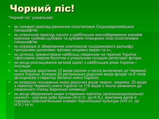 Чорний ліс! “ Чорний ліс” унікальний:  як типовий приклад рівнинних лісостепових Східноєвропейських ландшафтів; як класичний приклад одного з найбільших малозбережених масивів корінних грабово-дубових та дубових плакорних лісів лісостепових ландшафтів; як осередок зі збереженим комплексом льодовикового рельєфу: прохідними долинами, валами кінцевих морен та ін.; як ділянка, презентована найбільш південним на теренах України сфагновим озером-болотом з унікальним складом реліктової флори; як місце розташування витоків однієї з найбільших річок України - Інгульця; як осередок зростання 12 видів рослин з числа включених до Червоної книги України, близько 20 регіонально рідкісних видів флори та 6 типів фітоценозів з переліку Зеленої книги України; як осередок поширення низки рідкісних видів тварин, зокрема, 25 видів з переліку Червоної книги України та 118 видів з числа занесених до охоронного списку Бернської конвенції; як місце збереження низки історичних пам'яток загальнонаціональної цінності - курганів доби бронзи (ІІІ-ІІ ст. до Н.Х.), земляних валів й городищ праслов'янських племен Чорноліської культури (VІІІ ст. до Н.Х.) та ін. 
