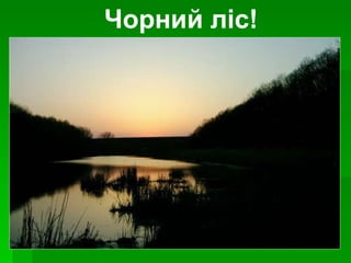 Чорний ліс! 
