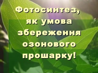 Фотосинтез,  як умова збереження озонового прошарку! 