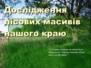 Дослідження лісових масивів нашого краю “ У лісових справах не може бути байдужості. Народу нашому вічно жити на цій землі.” 
