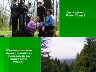 Ода лісу (читає Парнет Едуард) Збереження лісового фонду в Карпатах, як умова захисту від надзвичайних ситуацій   