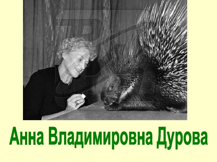 Дурова Наталья Рассказы О Дрессированных Животных