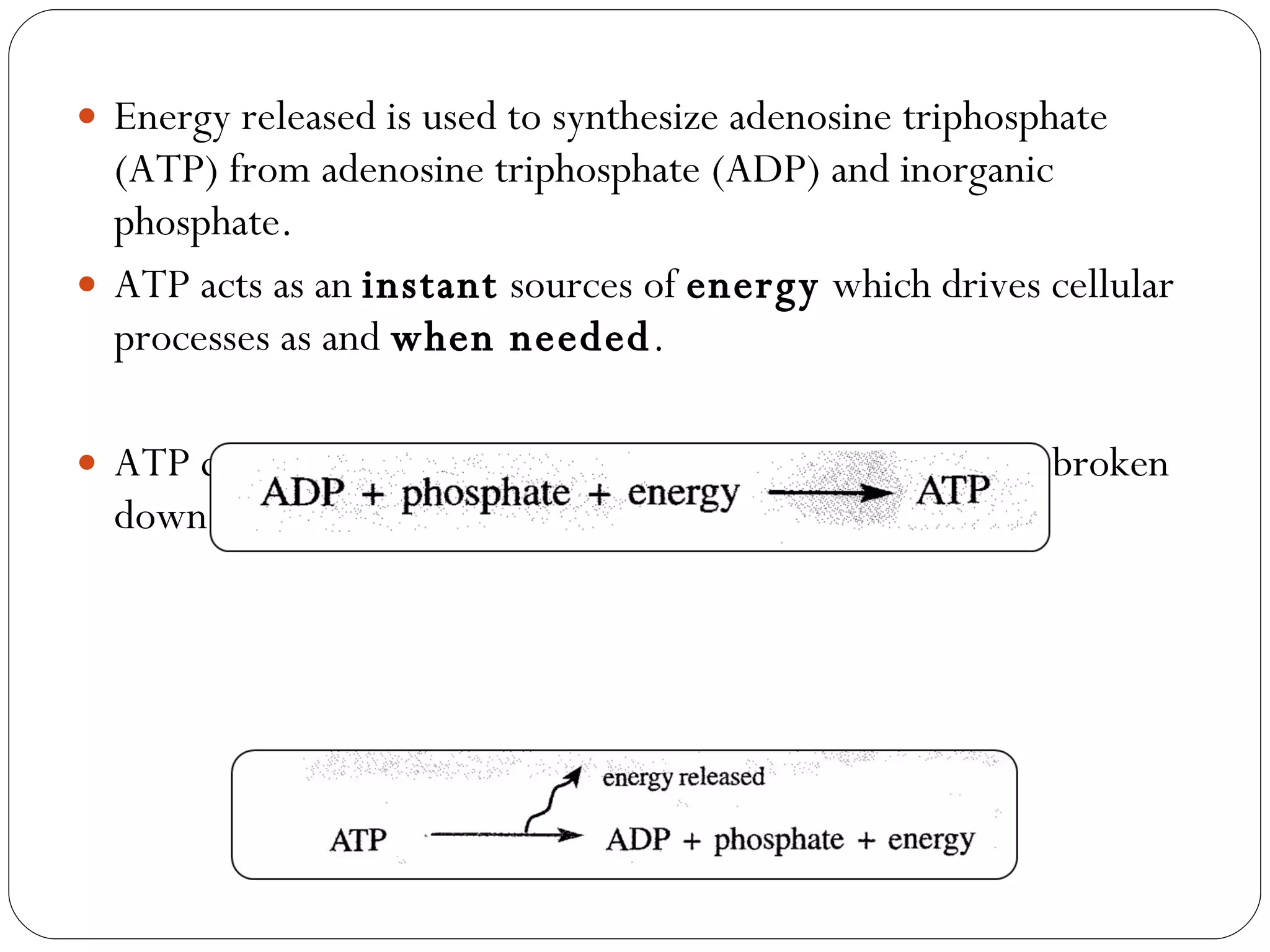 Energy released is used to synthesize adenosine triphosphate (ATP) from adenosine triphosphate (ADP) and inorganic phosphate. ATP acts as an  instant  sources of  energy  which drives cellular processes as and  when needed . ATP consists of  phosphate bonds  which can be easily broken down to  release energy  when required by the body. 
