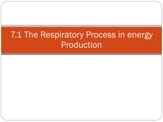7.1 The Respiratory Process in energy Production 