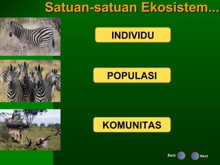 Satuan-satuan Ekosistem...

         INDIVIDU



         POPULASI




        KOMUNITAS

                    Back   Next
 