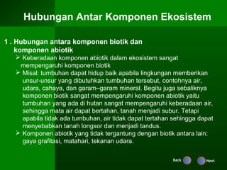 Hubungan Antar Komponen Ekosistem

1 . Hubungan antara komponen biotik dan
    komponen abiotik
    Keberadaan komponen abiotik dalam ekosistem sangat
    mempengaruhi komponen biotik
    Misal: tumbuhan dapat hidup baik apabila lingkungan memberikan
     unsur-unsur yang dibutuhkan tumbuhan tersebut, contohnya air,
     udara, cahaya, dan garam–garam mineral. Begitu juga sebaliknya
     komponen biotik sangat mempengaruhi komponen abiotik yaitu
     tumbuhan yang ada di hutan sangat mempengaruhi keberadaan air,
     sehingga mata air dapat bertahan, tanah menjadi subur. Tetapi
     apabila tidak ada tumbuhan, air tidak dapat tertahan sehingga dapat
     menyebabkan tanah longsor dan menjadi tandus.
    Komponen abiotik yang tidak tergantung dengan biotik antara lain:
     gaya grafitasi, matahari, tekanan udara.

                                                          Back       Next
 