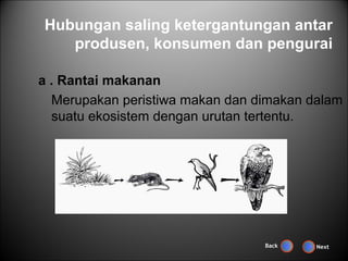 Hubungan saling ketergantungan antar
   produsen, konsumen dan pengurai

a . Rantai makanan
  Merupakan peristiwa makan dan dimakan dalam
  suatu ekosistem dengan urutan tertentu.




                                 Back    Next
 