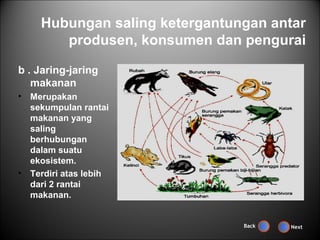 Hubungan saling ketergantungan antar
         produsen, konsumen dan pengurai

b . Jaring-jaring
   makanan
•   Merupakan
    sekumpulan rantai
    makanan yang
    saling
    berhubungan
    dalam suatu
    ekosistem.
•   Terdiri atas lebih
    dari 2 rantai
    makanan.


                                 Back   Next
 