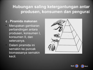 Hubungan saling ketergantungan antar
       produsen, konsumen dan pengurai

c . Piramida makanan
• Merupakan gambaran
   perbandingan antara
   produsen, konsumen I,
   konsumen II, dan
   seterusnya.
• Dalam piramida ini
   semakin ke puncak
   biomassanya semakin
   kecil.

                               Back   Next
 