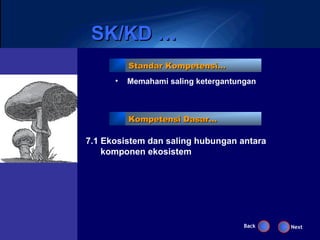 SK/KD …
          Standar Kompetensi…
      •   Memahami saling ketergantungan



          Kompetensi Dasar…

7.1 Ekosistem dan saling hubungan antara
    komponen ekosistem




                                     Back   Next
 