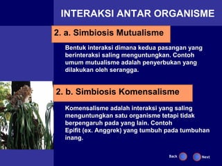 INTERAKSI ANTAR ORGANISME
2. a. Simbiosis Mutualisme
  Bentuk interaksi dimana kedua pasangan yang
  berinteraksi saling menguntungkan. Contoh
  umum mutualisme adalah penyerbukan yang
  dilakukan oleh serangga.


2. b. Simbiosis Komensalisme
  Komensalisme adalah interaksi yang saling
  menguntungkan satu organisme tetapi tidak
  berpengaruh pada yang lain. Contoh
  Epifit (ex. Anggrek) yang tumbuh pada tumbuhan
  inang.

                                   Back      Next
 