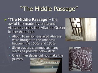 Spanish coloniesSouth American ColoniesPlantation farmingMiningWest IndiesPlantation farmingNew Spain and FloridaSettler and Plantation ColoniesMining