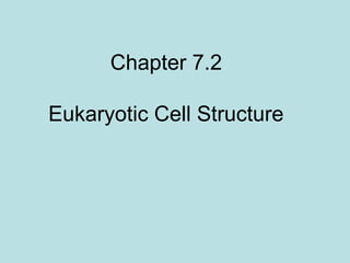 Chapter 7.2
Eukaryotic Cell Structure
 