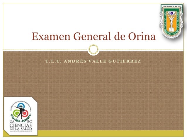 7 1 Examen General De Orina Ego