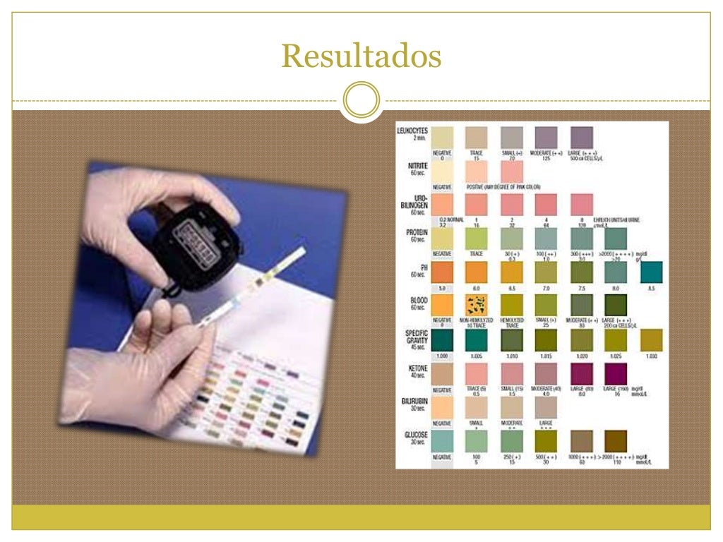 7.1. Examen General de Orina (EGO)