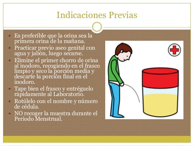 7.1. Examen General de Orina (EGO) 7.1. Examen General de Orina (EGO)