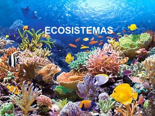 ECOSISTEMAS
 