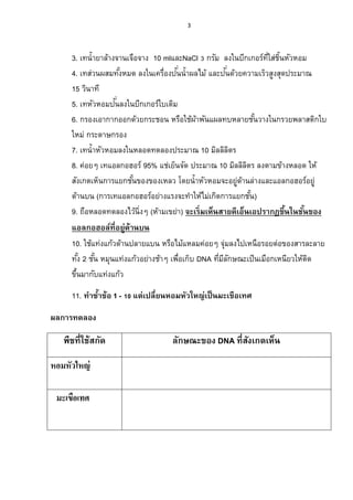3




     3. เทน้ ายาล้างจานเจือจาง 10 mlและNaCl 3 กรัม ลงในบีกเกอร์ทใส่ชนหัวหอม
                                                                        ่ี ้ิ
                                       ั่                ั่
     4. เทส่วนผสมทังหมด ลงในเครื่องปนน้ าผลไม้ และปนด้วยความเร็วสูงสุดประมาณ
                       ้
     15 วินาที
                    ั่
     5. เทหัวหอมปนลงในบีกเกอร์ใบเดิม
     6. กรองเอากากออกด้วยกระชอน หรือใช้ผาพันแผลทบหลายชันวางในกรวยพลาสติกใบ
                                              ้                       ้
     ใหม่ กระดาษกรอง
     7. เทน้ าหัวหอมลงในหลอดทดลองประมาณ 10 มิลลิลตร         ิ
     8. ค่อยๆ เทแอลกอฮอร์ 95% แช่เย็นจัด ประมาณ 10 มิลลิลตร ลงตามข้างหลอด ให้
                                                                  ิ
     สังเกตเห็นการแยกชันของของเหลว โดยน้ าหัวหอมจะอยูดานล่างและแอลกอฮอร์อยู่
                         ้                                    ่ ้
     ด้านบน (การเทแอลกอฮอร์อย่างแรงจะทาให้ไม่เกิดการแยกชัน)         ้
     9. ถือหลอดทดลองไว้นิ่งๆ (ห้ามเขย่า) จะเริ่ มเห็นสายดีเอ็นเอปรากฏขึนในชันของ
                                                                              ้ ้
     แอลกอฮอล์ที่อยู่ด้านบน
     10. ใช้แท่งแก้วด้านปลายแบน หรือไม้แหลมค่อยๆ จุมลงไปเหนือรอยต่อของสารละลาย
                                                       ่
     ทัง 2 ชัน หมุนแท่งแก้วอย่างช้าๆ เพือเก็บ DNA ทีมลกษณะเป็ นเมือกเหนียวให้ตด
         ้    ้                         ่            ่ ีั                         ิ
     ขึนมากับแท่งแก้ว
       ้

     11. ทาซาข้อ 1 - 10 แต่เปลี่ยนหอมหัวใหญ่เป็ นมะเขือเทศ
            ้

ผลการทดลอง

   พืชที่ใช้สกัด                   ลักษณะของ DNA ที่สงเกตเห็น
                                                     ั

หอมหัวใหญ่

 มะเขือเทศ
 