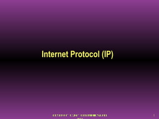 Internet Protocol (IP) 
