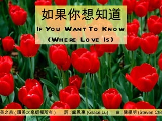 讚美之泉 ( 讚美之泉版權所有 )  詞 : 盧恩惠 (Grace Lu)  曲 : 陳學明 (Steven Chen) 如果你想知道 If You Want To Know (Where Love Is) 