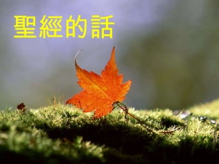 ʥĻ 