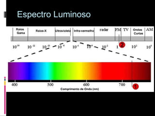 Espectro Luminoso 