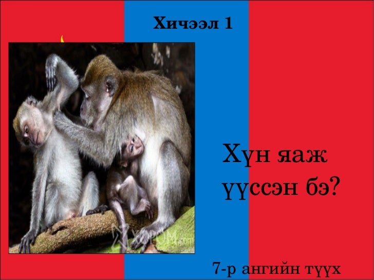 7 анги түүхийн хичээл