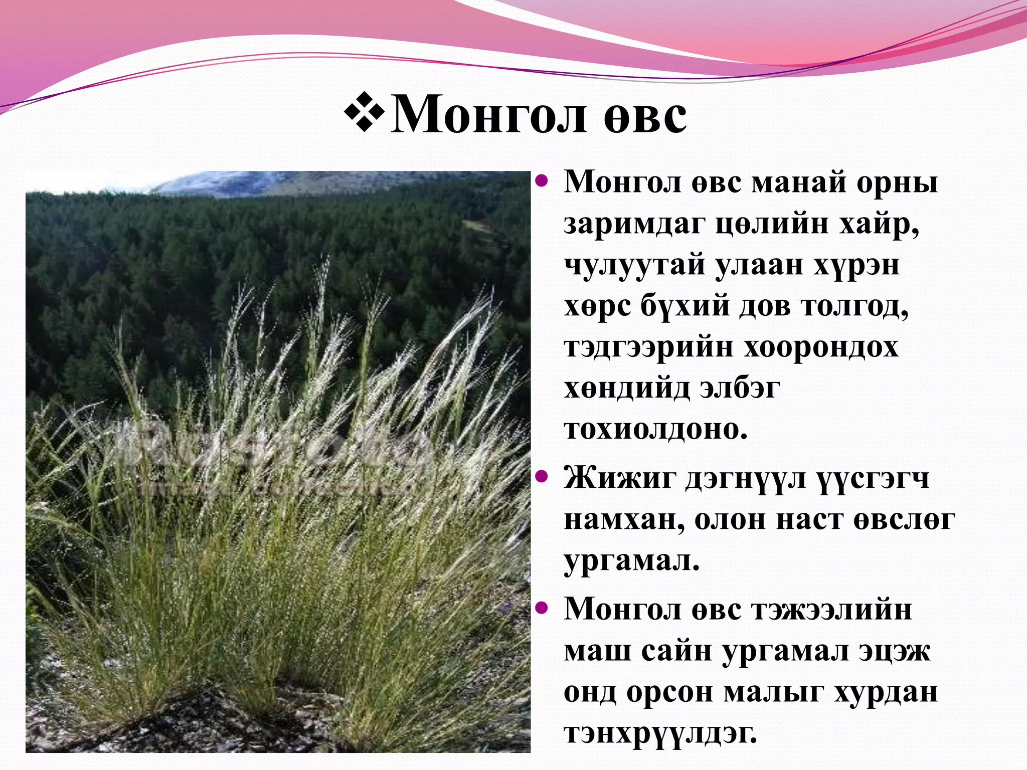 Шувуун хөлШувуун хөл