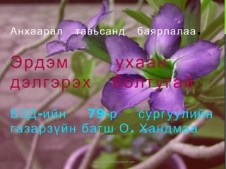 1. Анаграммыг тайлж унших  Ази  СИЕНЙЕ Европ  ЖИЛИ Африк  ИЛН  Хойд Америк  СИСМИСПИИ Өмнөд Америк  КНЗОМАА   Австрали  РРМУЙЕ 2. Эдгээр голуудыг газрын зургаас олж заах  3.Эдгээр голууд хаашаа цутгаж байна вэ ? Бие дааж  хийх ажил  