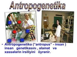Antropogenetika (“antropus” - insan ) insan  genetikasını , əlamət  və  xassələrin irsiliyini  öyrənir. Antropogenetika 